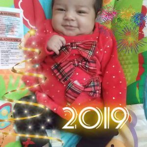 Meet your Posher, Dorothea